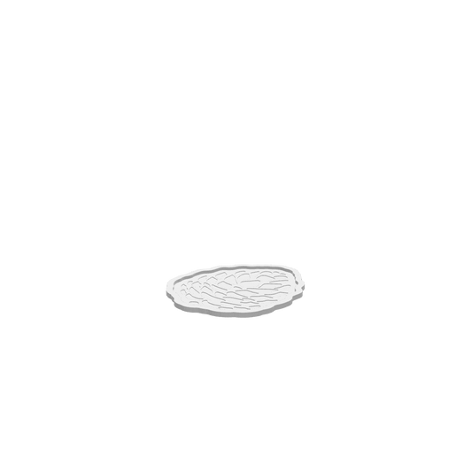 GLB of render file of a single pinecone autumn tray, ready for 3D visualization or digital mockups.