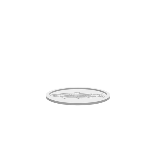 GLB of render file of the cartoon trout tray, ready for 3D viewing or digital mockups.