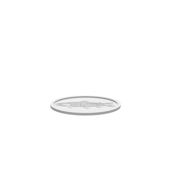 GLB of render file of the cartoon trout tray, ready for 3D viewing or digital mockups.